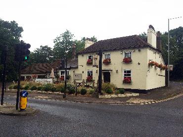 Major Plants Ltd - Before after - London - UK - Image 9