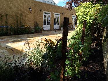 Major Plants Ltd - Before after - London - UK - Image 17