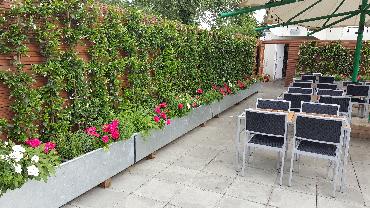 Major Plants Ltd - Before after - London - UK - Image 21