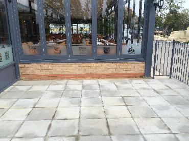 Major Plants Ltd - Before after - London - UK - Image 22