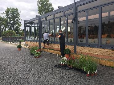 Major Plants Ltd - Before after - London - UK - Image 26