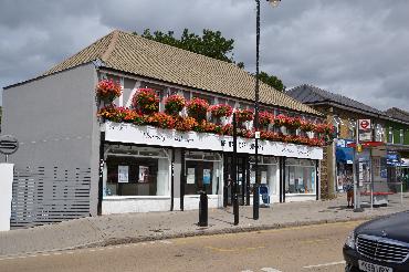 Major Plants Ltd - Before after - London - UK - Image 43