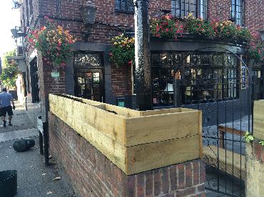 Major Plants Ltd - Before after - London - UK - Image 46