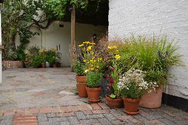 Major Plants Ltd - Before after - London - UK - Image 49