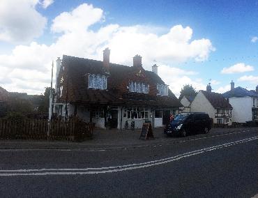Major Plants Ltd - Before after - London - UK - Image 50