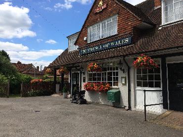 Major Plants Ltd - Before after - London - UK - Image 51