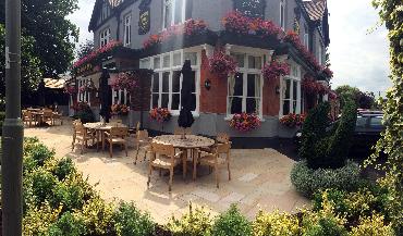 Major Plants Ltd - Before after - London - UK - Image 53