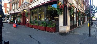 Major Plants Ltd - Before after - London - UK - Image 55