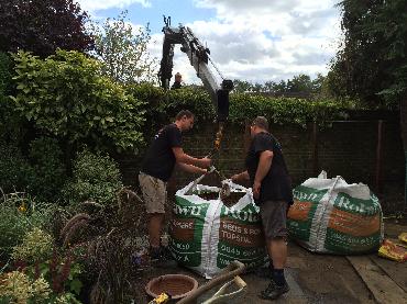 Major Plants Ltd - Before after - London - UK - Image 56