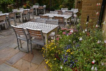 Major Plants Ltd - Before after - London - UK - Image 57