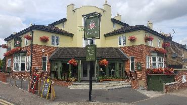 Major Plants Ltd - Before after - London - UK - Image 65