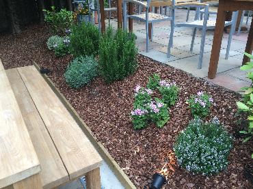 Major Plants Ltd - Decorating Bark - London - UK - Image 3