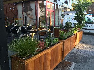 Major Plants Ltd - Gökyüzü Woodgreen - London - UK - Image 4