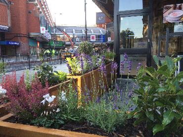 Major Plants Ltd - Gökyüzü Woodgreen - London - UK - Image 5