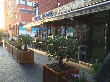 Major Plants Ltd - Gökyüzü Woodgreen - London - UK - Image 6