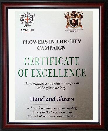Major Plants Ltd - Hanging Basket Service Awards - London - UK - Image 4