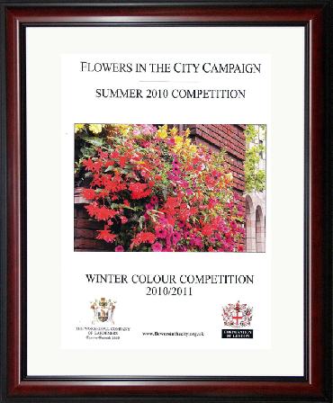 Major Plants Ltd - Hanging Basket Service Awards - London - UK - Image 10