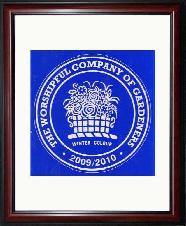 Major Plants Ltd - Hanging Basket Service Awards - London - UK - Image 15