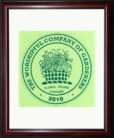 Major Plants Ltd - Hanging Basket Service Awards - London - UK - Image 17