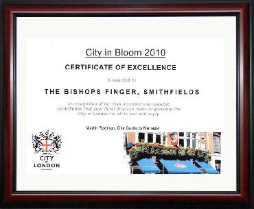 Major Plants Ltd - Hanging Basket Service Awards - London - UK - Image 18