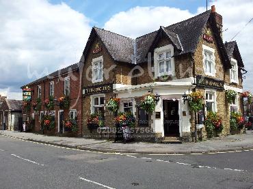 Major Plants Ltd - Hanging Basket Services - London - UK - Image 185