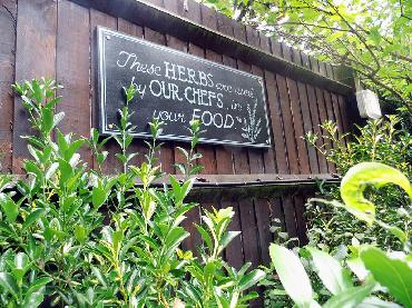 Major Plants Ltd - Herb Displays - London - UK - Image 1