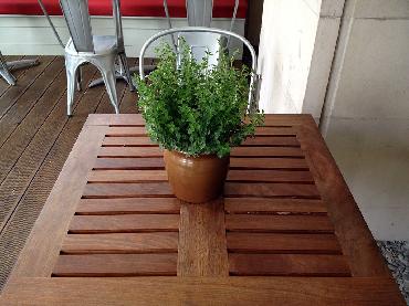 Major Plants Ltd - Herb Displays - London - UK - Image 4