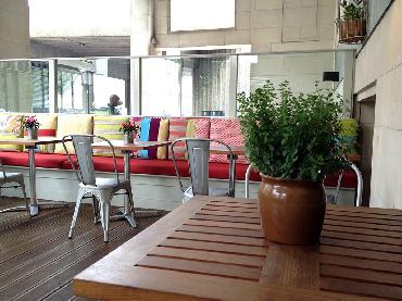 Major Plants Ltd - Herb Displays - London - UK - Image 8