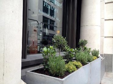 Major Plants Ltd - Herb Displays - London - UK - Image 19