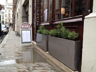 Major Plants Ltd - Herb Displays - London - UK - Image 22