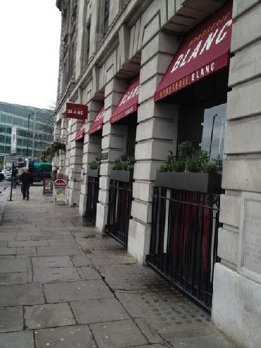 Major Plants Ltd - Herb Displays - London - UK - Image 24