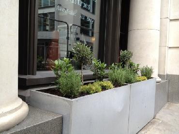 Major Plants Ltd - Herb Displays - London - UK - Image 30