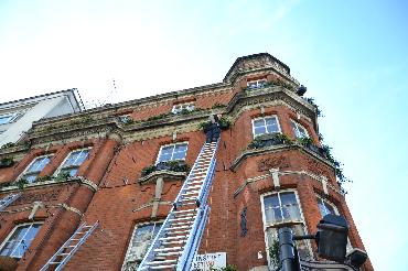 Major Plants Ltd - Masons Arms - London - UK - Image 6