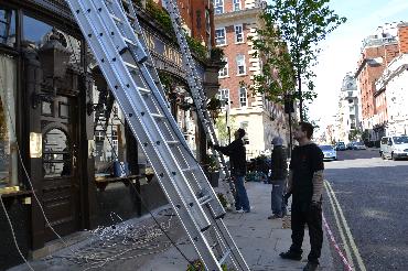 Major Plants Ltd - Masons Arms - London - UK - Image 7