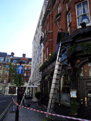 Major Plants Ltd - Masons Arms - London - UK - Image 13