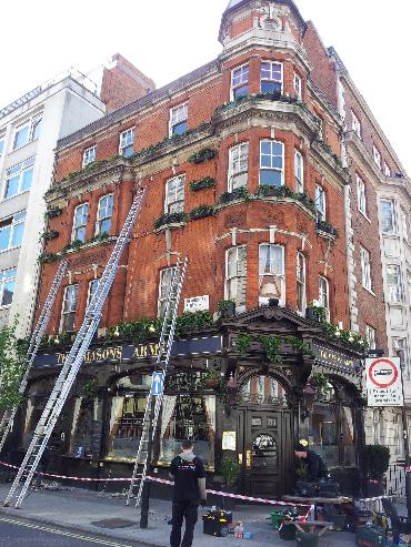 Major Plants Ltd - Masons Arms - London - UK - Image 24