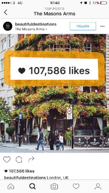 Major Plants Ltd - Masons Arms - London - UK - Image 25