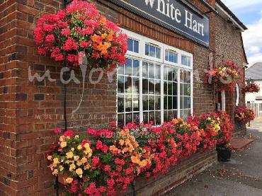 Major Plants Ltd - Our Customers - London - UK - Image 9