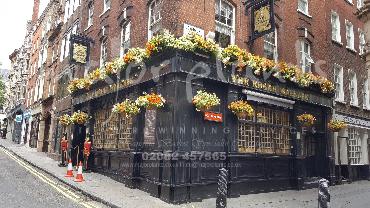 Major Plants Ltd - Our Customers - London - UK - Image 13