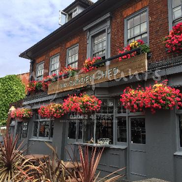 Major Plants Ltd - Our Customers - London - UK - Image 19