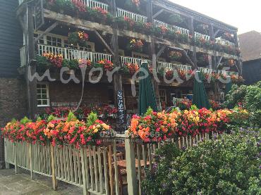 Major Plants Ltd - Our Customers - London - UK - Image 42