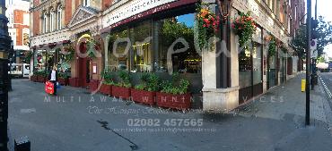 Major Plants Ltd - Our Customers - London - UK - Image 44