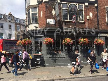 Major Plants Ltd - Our Customers - London - UK - Image 48