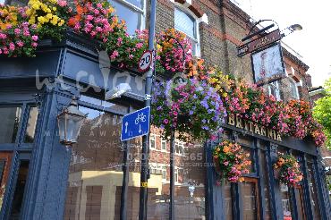 Major Plants Ltd - Our Customers - London - UK - Image 73