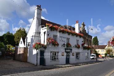 Major Plants Ltd - Our Customers - London - UK - Image 81