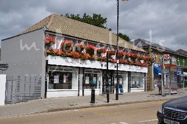 Major Plants Ltd - Our Customers - London - UK - Image 85