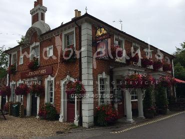 Major Plants Ltd - Our Customers - London - UK - Image 92