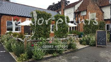 Major Plants Ltd - Pastoral - London - UK - Image 