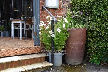 Major Plants Ltd - Pastoral - London - UK - Image 9