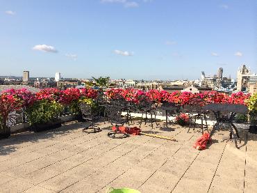 Major Plants Ltd - Penthouse - London - UK - Image 9